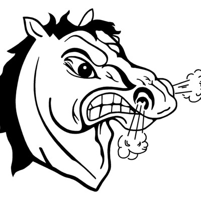 Bronco